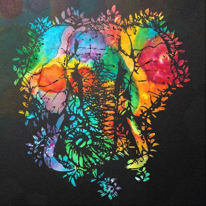 MP3 #520 Pachyderm - Never Knew Me At All
