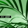 Télécharger gratuitement la musique de KV - Leaf